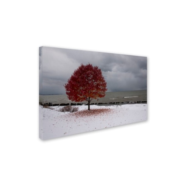 Kurt Shaffer 'Autumn Contrast On The Lake' Canvas Art,22x32